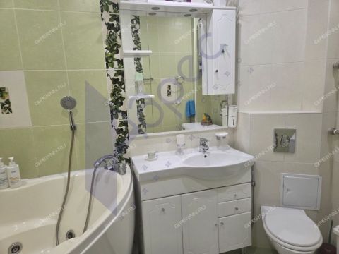 1-komnatnaya-b-r-meshherskiy-d-5a фото