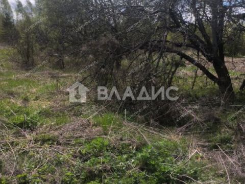 derevnya-apraksino-gorodskoy-okrug-bor фото