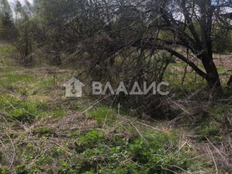 земельный участок 11,87 сотки деревня Апраксино