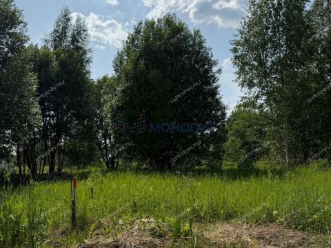 selo-diveevo-diveevskiy-municipalnyy-okrug фото