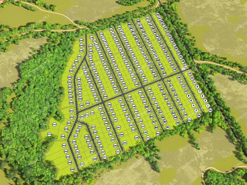 земельный участок 32 сотки Отрадное деревня Бурцево