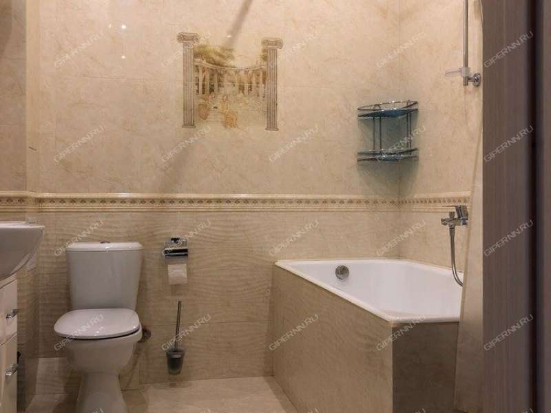 однокомнатная квартира на Сормовском шоссе дом 5