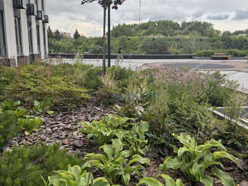 трёхкомнатная квартира на 2-й Оранжерейной улице дом 4А к2