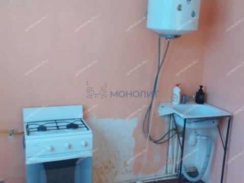 2-komnatnaya-derevnya-berezovka-bogorodskiy-municipalnyy-okrug фото