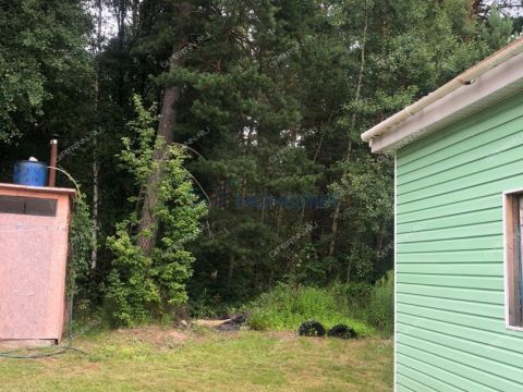 dacha-leninec-8-derevnya-hmelevaya-polyana-ter-snt-dalnekonstantinovskiy-rayon фото