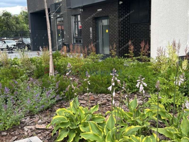 однокомнатная квартира на 2-й Оранжерейной улице дом 4Ак1