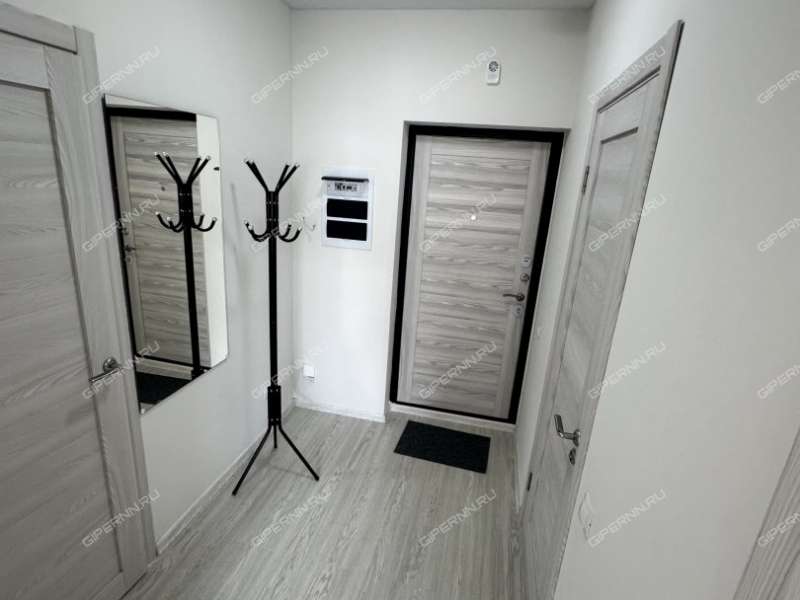 однокомнатная квартира на Зеленхозовской улице дом 1T