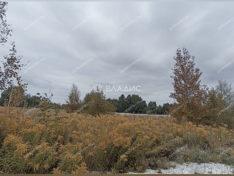 derevnya-knyazhevo-gorodskoy-okrug-bor фото