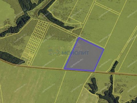 selo-diveevo-diveevskiy-municipalnyy-okrug фото