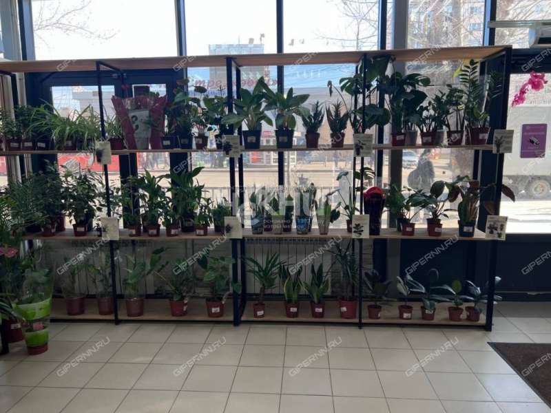 помещение под торговую площадь на проспекте Кораблестроителей