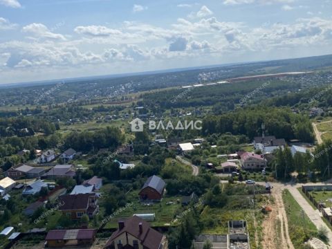 1-komnatnaya-derevnya-ankudinovka-kstovskiy-rayon фото