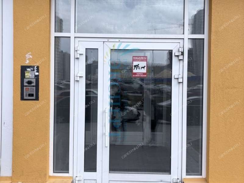 двухкомнатная квартира на Русской улице улице дом 19 деревня Анкудиновка