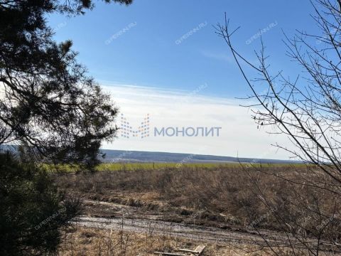 selo-ostankino-ostankinskiy-selsovet-gorodskoy-okrug-bor фото