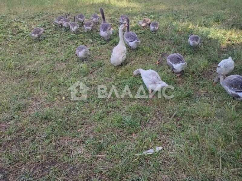 дом на Нагорной улице деревня Турбанка