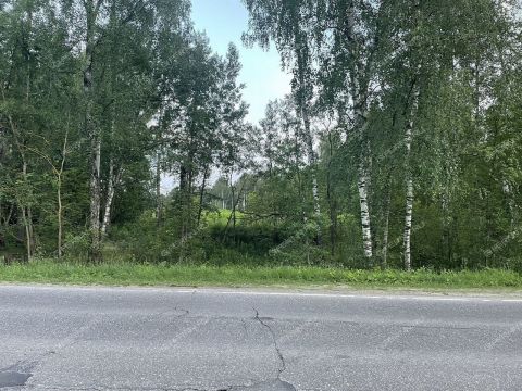 selo-redkino-redkinskiy-selsovet-gorodskoy-okrug-bor фото