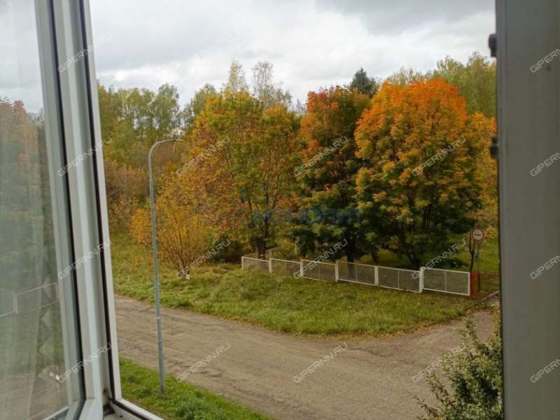 двухкомнатная квартира на Танковой улице дом 20 посёлок Новосмолинский