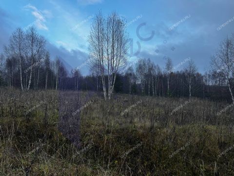 derevnya-fefeliha-sokolskiy-gorodskoy-okrug фото