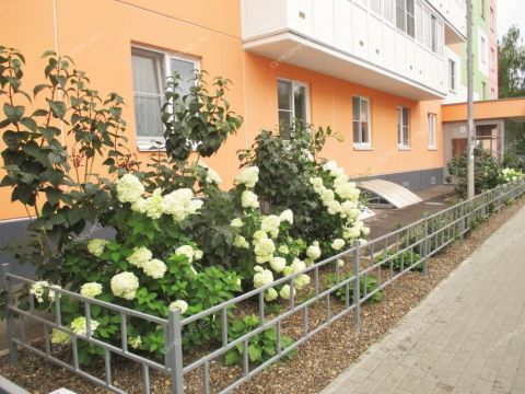 kvartira-studiya-ul-monchegorskaya-d-12-k4 фото