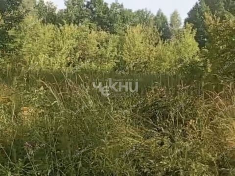 derevnya-dosadino-vadskiy-municipalnyy-okrug фото