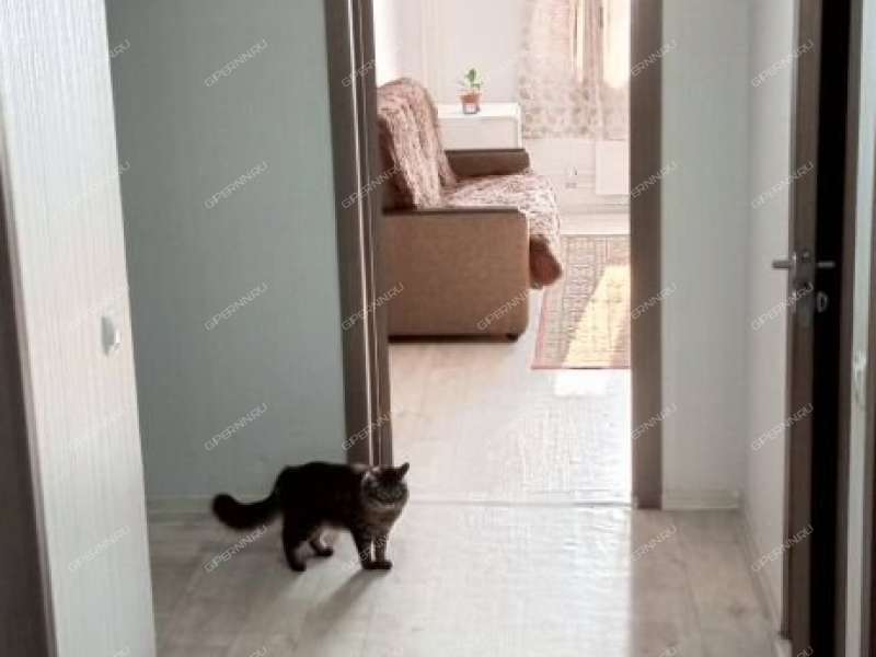 трёхкомнатная квартира на проспекте Кораблестроителей дом 60