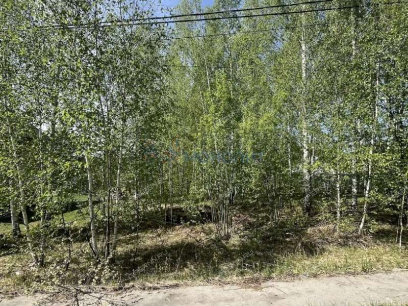 земельный участок 15 соток Березовая улица село Безводное