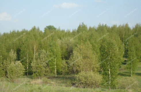 Малая поляна нижегородская область. Хмелевая Поляна Нижегородская. Гремячая Поляна Нижегородская область. Нижегородская область деревня большие Поляны.