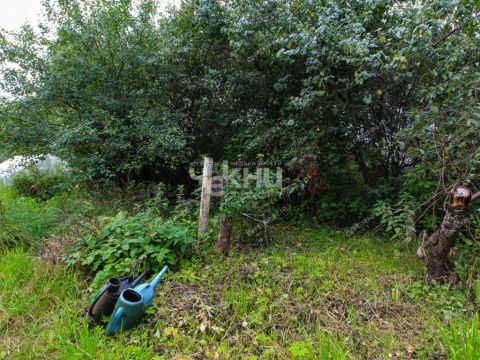 derevnya-krutec-gorodskoy-okrug-bor фото