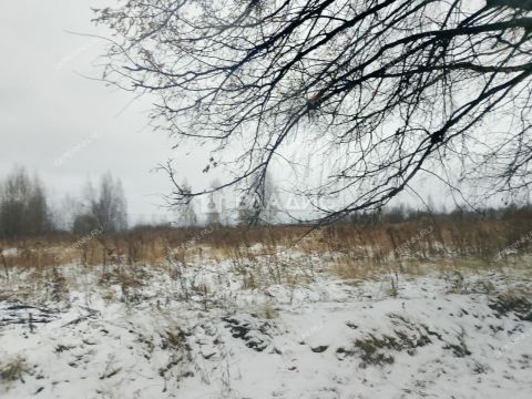 selo-bezvodnoe-kstovskiy-rayon фото