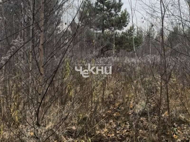 земельный участок 10 соток село Безводное