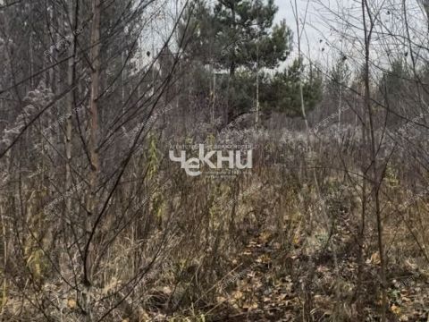 selo-bezvodnoe-kstovskiy-rayon фото