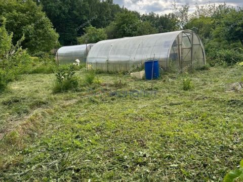 dacha фото