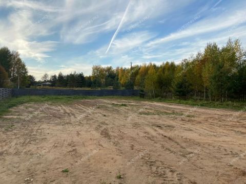 derevnya-malyy-suhodol-gorodeckiy-rayon фото