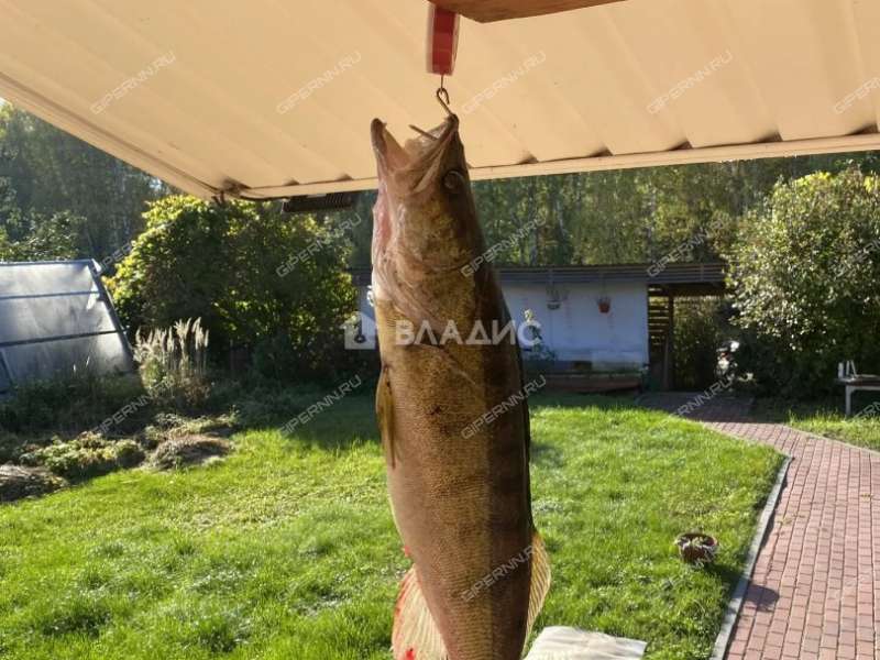 дом на 27 СНТ Энергия