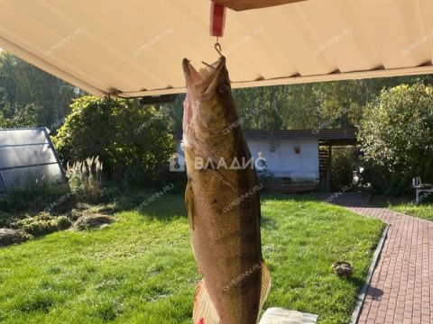 dom-snt-energiya-balahninskiy-municipalnyy-okrug фото