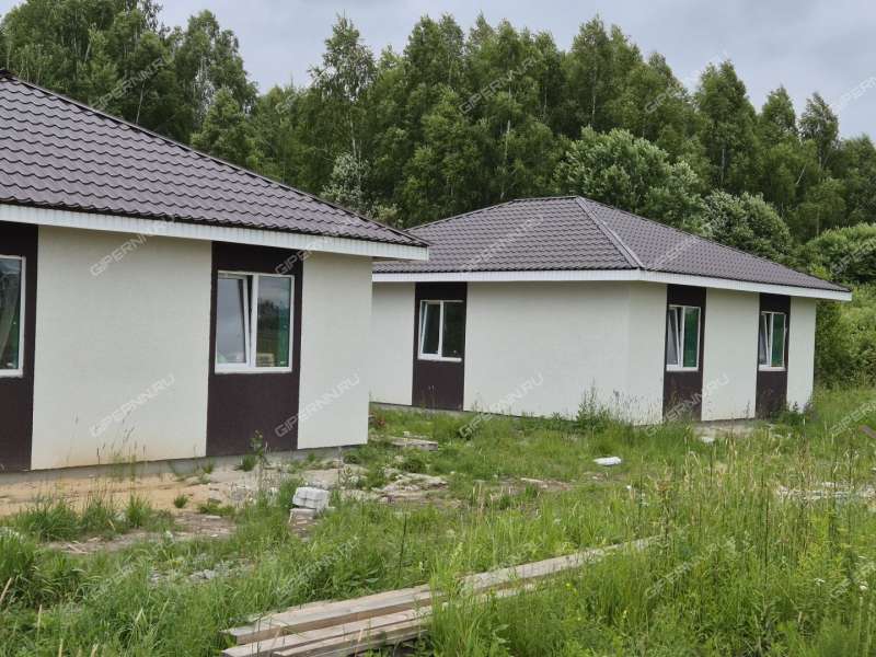 дом на Героя Демина ул. деревня Пруды