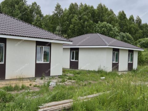 dom-derevnya-prudy-bogorodskiy-municipalnyy-okrug фото