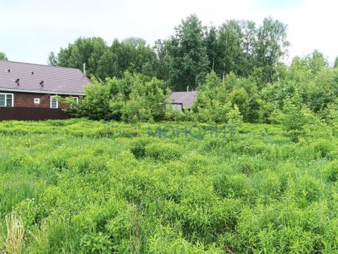 selo-ostankino-gorodskoy-okrug-bor фото