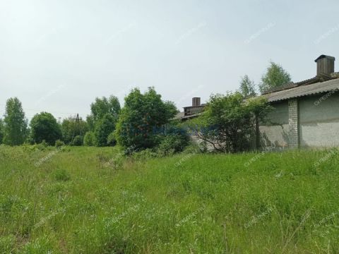 selo-strochkovo-gorodeckiy-rayon фото