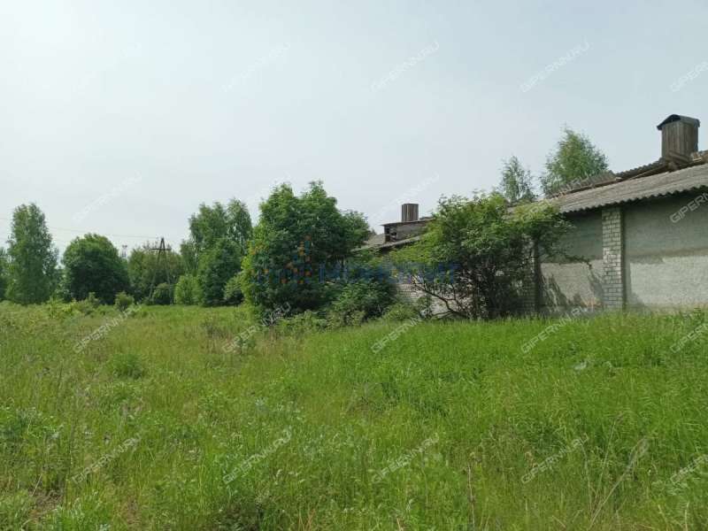 имущественный комплекс под производственную площадь на Новой улице село Строчково