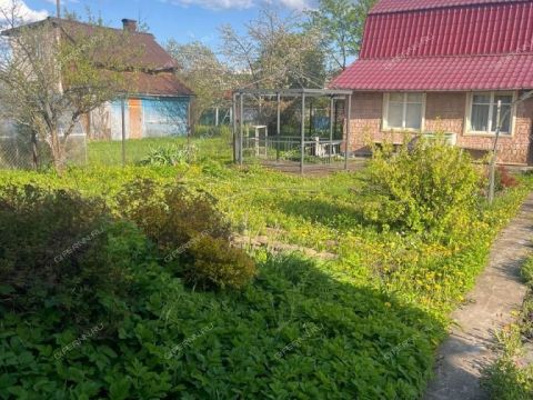 dacha-poselok-sitniki-gorodskoy-okrug-bor фото