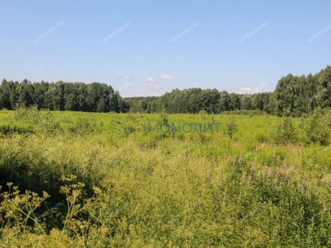 derevnya-kruglovo-gorodskoy-okrug-bor фото