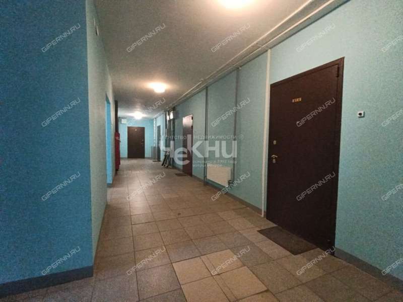 двухкомнатная квартира на улице Германа Лопатина дом 12 к1