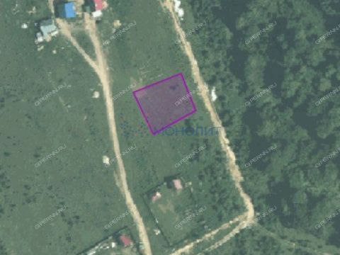 rabochiy-poselok-maloe-kozino-balahninskiy-municipalnyy-okrug фото