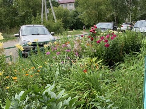 1-komnatnaya-gorod-bogorodsk-bogorodskiy-municipalnyy-okrug фото