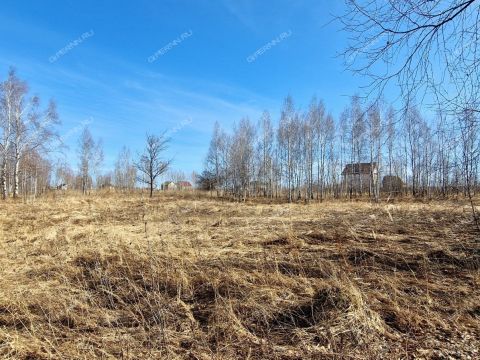 derevnya-novolikeevo-kstovskiy-rayon фото