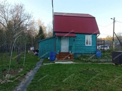 dacha-derevnya-shoniha-bogorodskiy-municipalnyy-okrug фото
