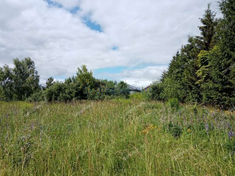 земельный участок 7,5 сотки Пригородная улица деревня Высоково