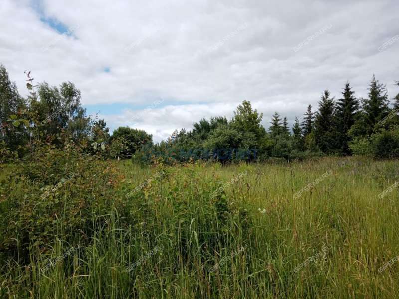 земельный участок 7,5 сотки Пригородная улица деревня Высоково