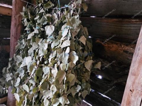 dom-derevnya-piyaichnoe-sosnovskiy-rayon фото