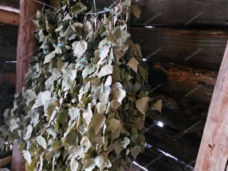 дом на улице 40 лет Победы деревня Пияичное